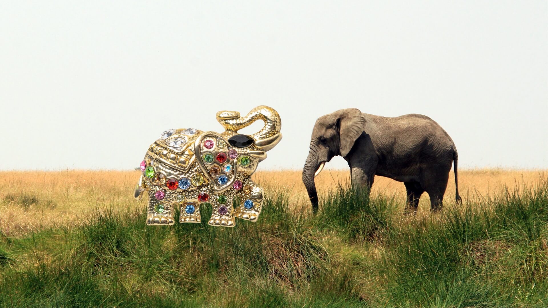 Elephant Tales in Jewelry Design