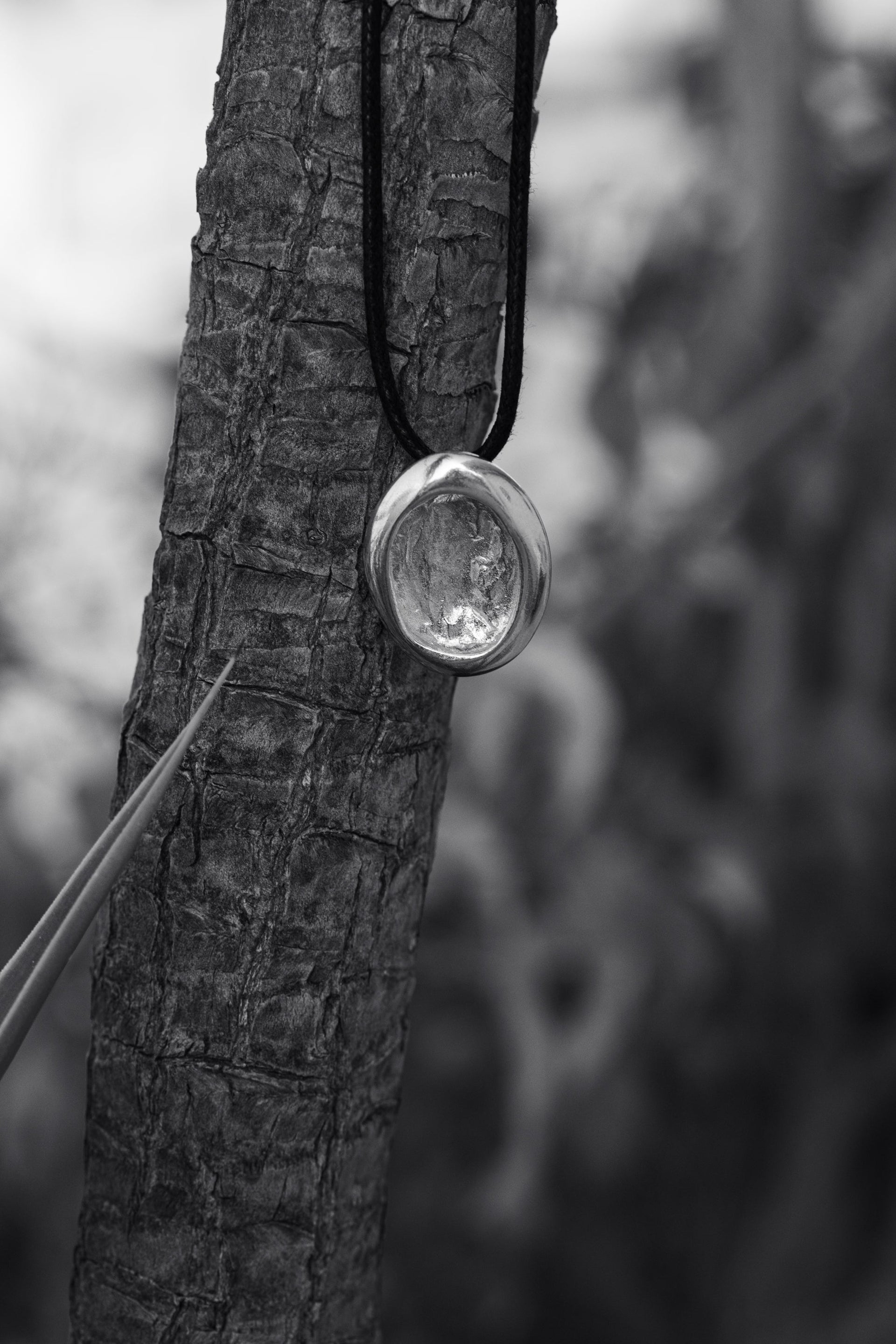 Aesop Necklace In Silver