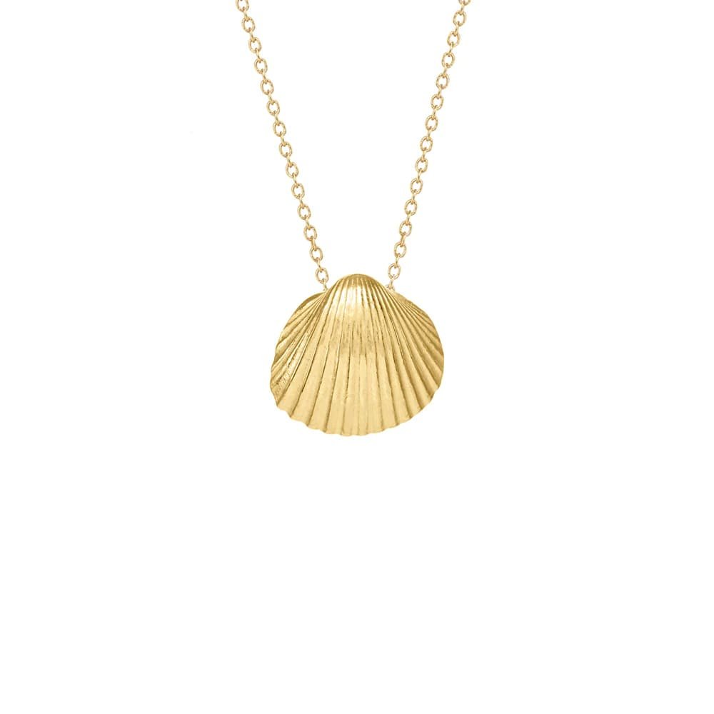 small-sun-shell-necklace