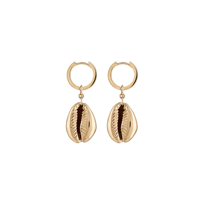 cowrie-gold-earrings-petite