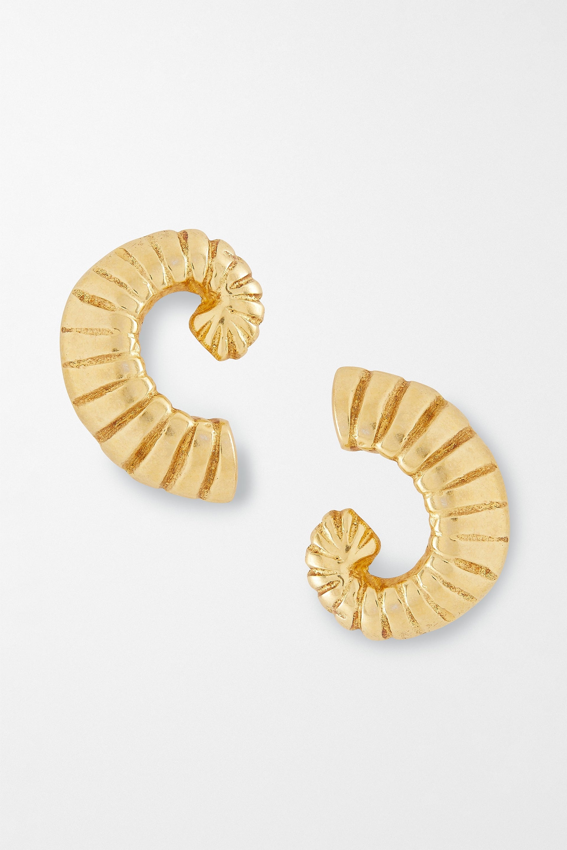 Tiny Shell Earrings