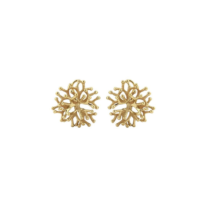 ayida-staghorn-earrings