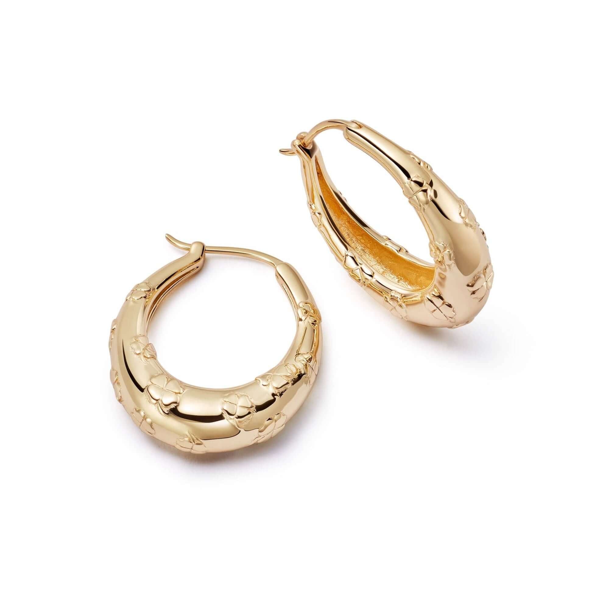 shrimps-lucky-horseshoe-hoop-earrings-daisy-london