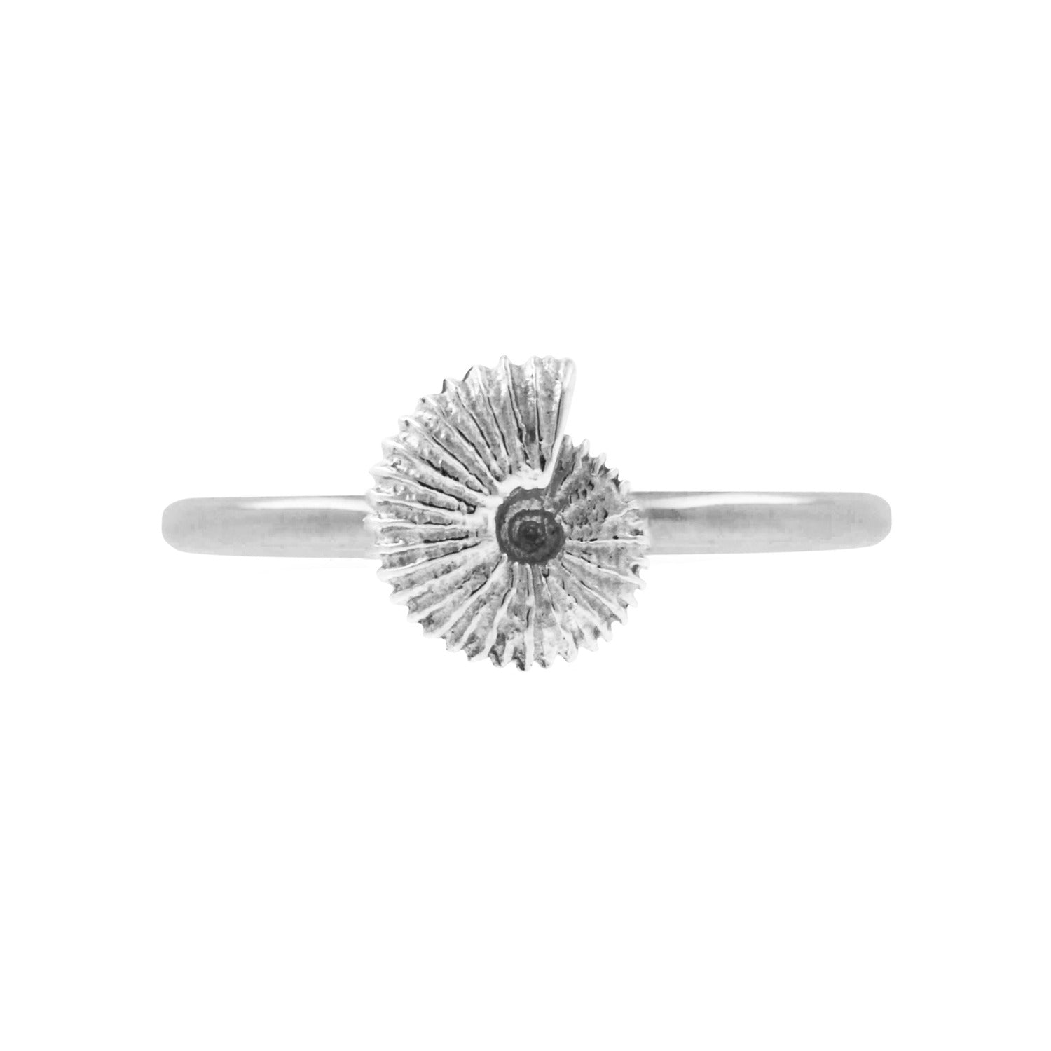 Ammonite Ring Sterling Silver