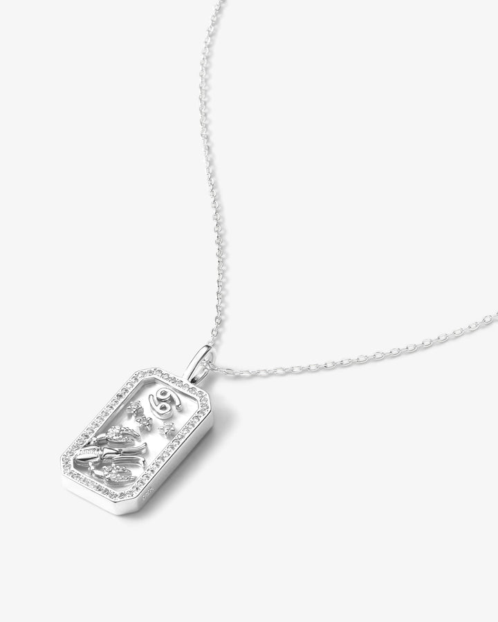 zodiac-amulet-necklace-in-silver