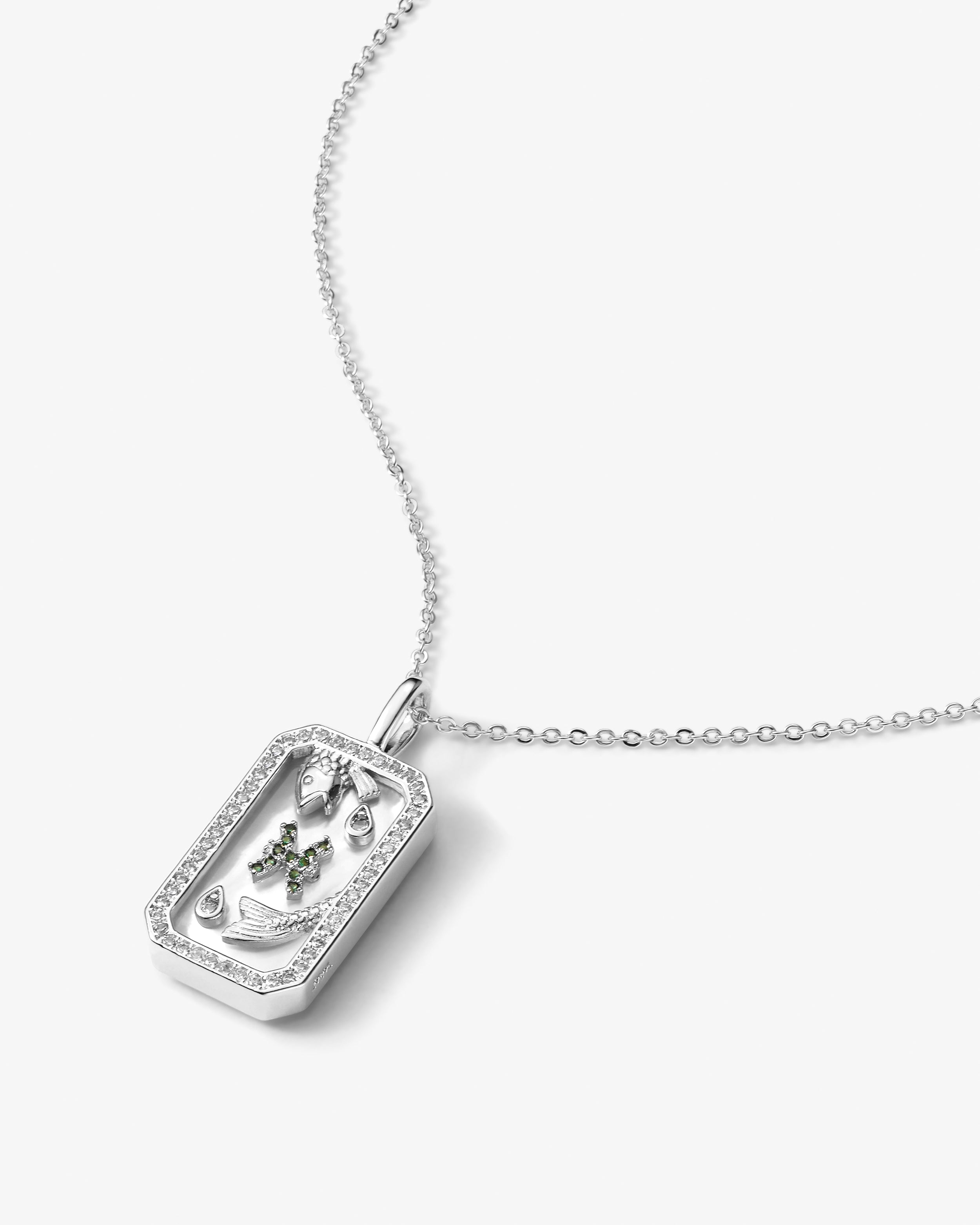 zodiac-amulet-necklace-in-silver