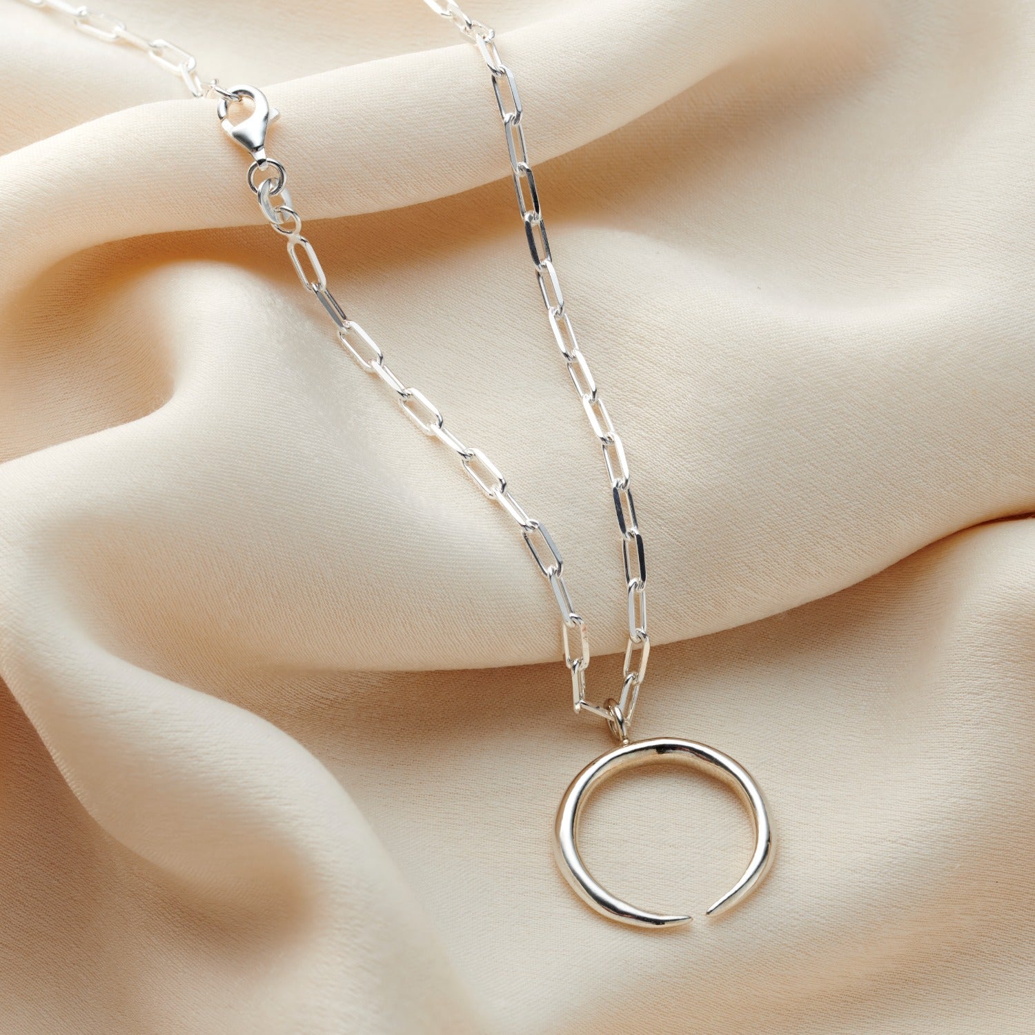 Sterling Silver Chain Link Horn Necklace