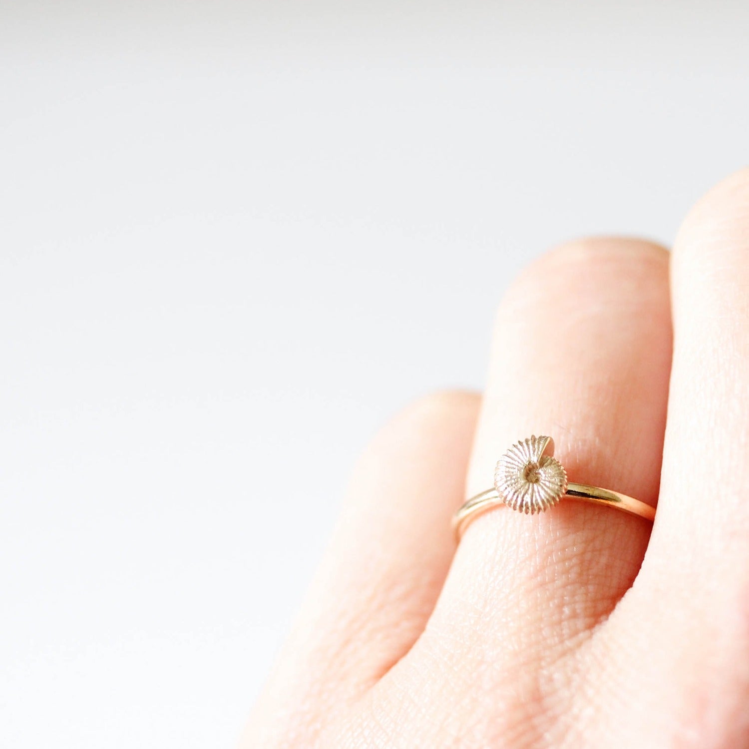 Ammonite Ring Sterling Silver